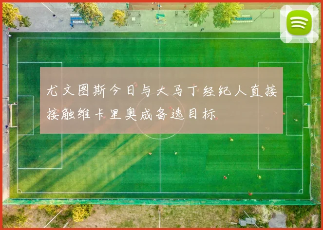尤文图斯今日与大马丁经纪人直接接触维卡里奥成备选目标