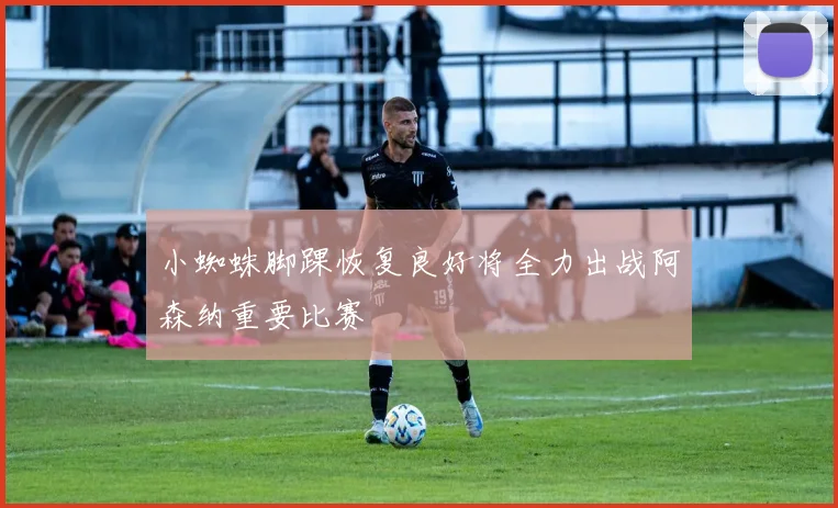 小蜘蛛脚踝恢复良好将全力出战阿森纳重要比赛