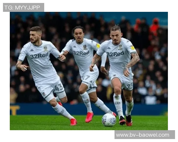 利兹联球迷两度向热刺球员投掷物品或将遭遇高额罚款